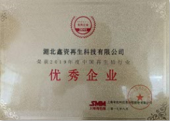2019中國再生鉛行業(yè)優(yōu)秀企業(yè)